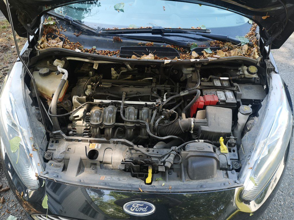 2015 Ford Fiesta SE #B-KAM-0288 Located in Kamloops